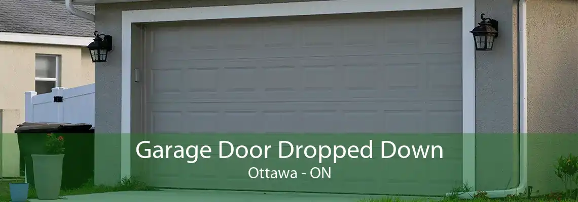 Garage Door Dropped Down Ottawa - ON