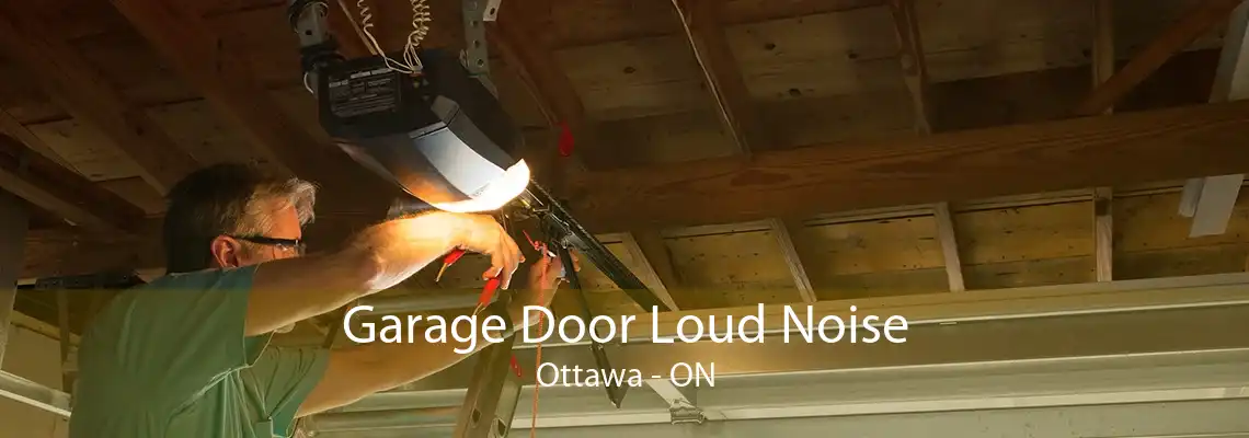 Garage Door Loud Noise Ottawa - ON