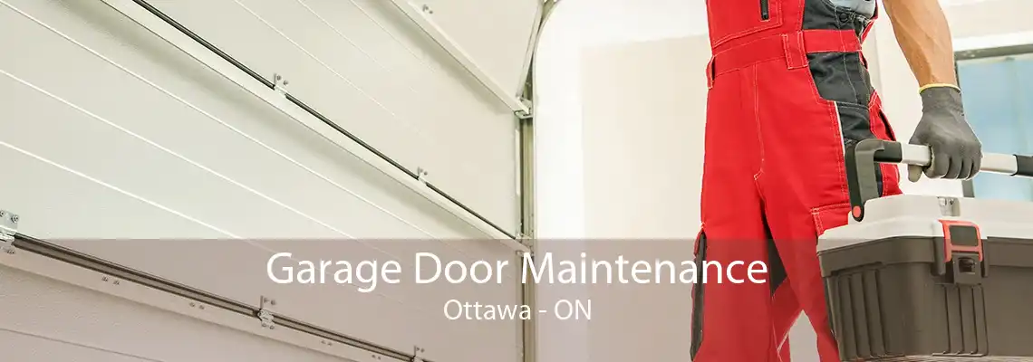 Garage Door Maintenance Ottawa - ON