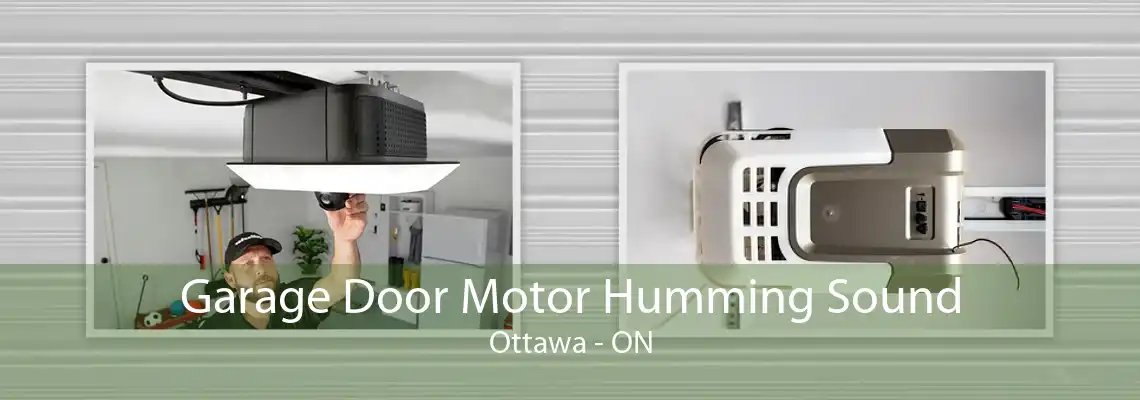 Garage Door Motor Humming Sound Ottawa - ON