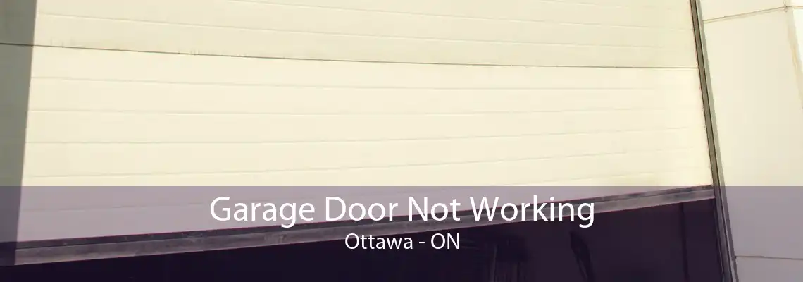 Garage Door Not Working Ottawa - ON