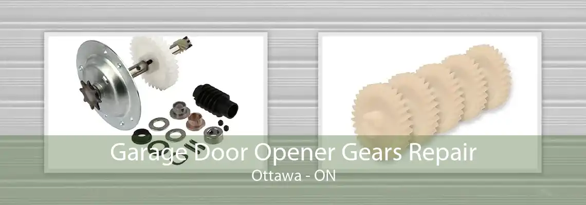 Garage Door Opener Gears Repair Ottawa - ON