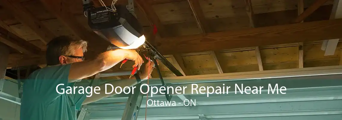 Garage Door Opener Repair Near Me Ottawa - ON