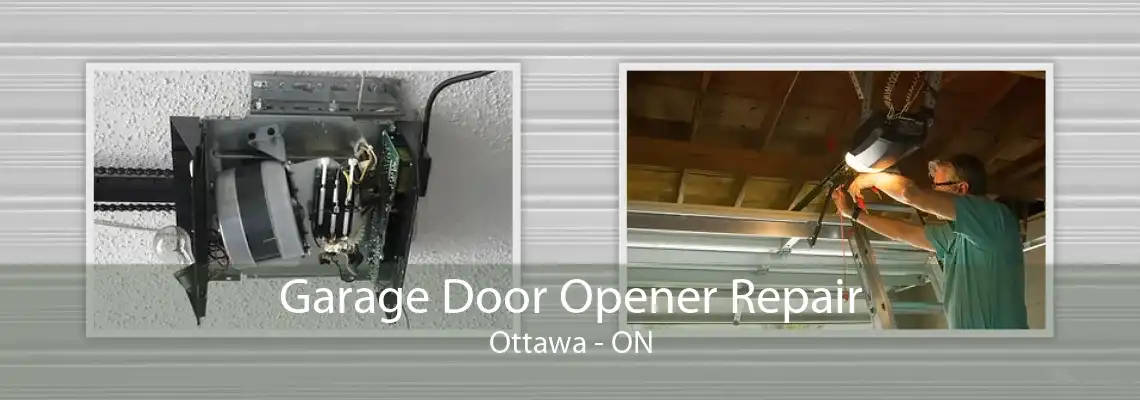 Garage Door Opener Repair Ottawa - ON