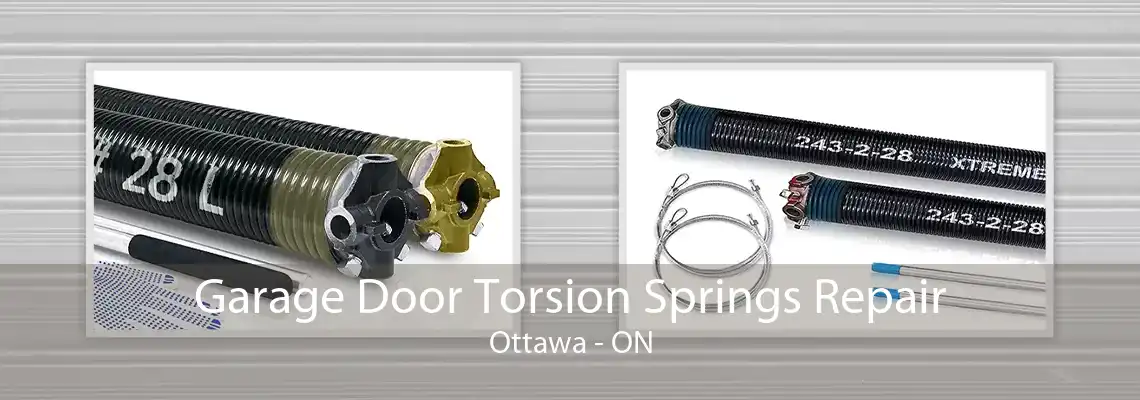 Garage Door Torsion Springs Repair Ottawa - ON