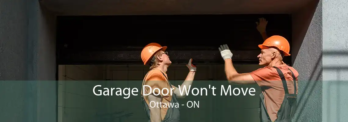 Garage Door Won't Move Ottawa - ON