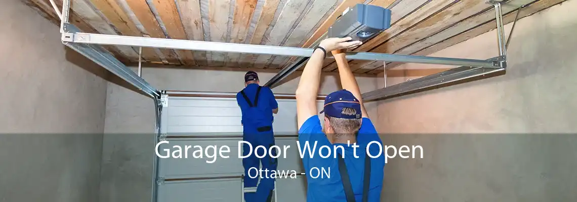 Garage Door Won't Open Ottawa - ON